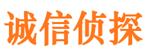 桑植寻人公司